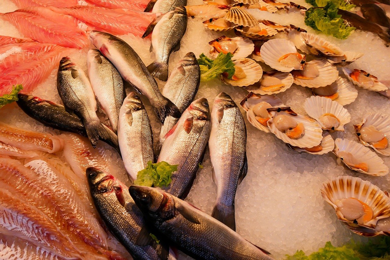 meal, fish, seafood, sea, food, animal, sea animal, fresh, eat fish, fish trade, fish market, fishing, fresh fish, market, nature, shellfish, oysters, seafood, seafood, seafood, seafood, seafood, fish market, fish market